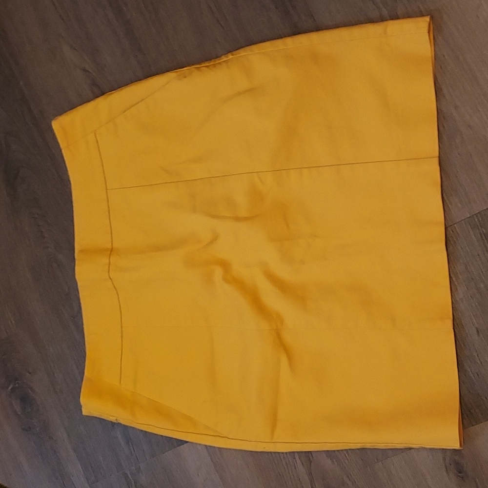 Ann Taylor skirt